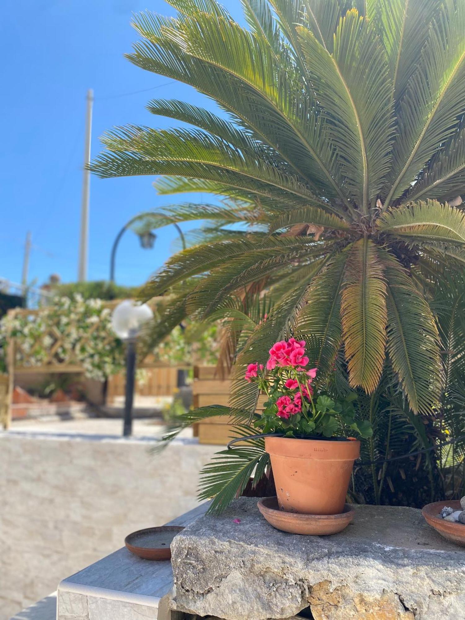 Villetta Mare Di Sicilia 冯塔尼比安奇 外观 照片